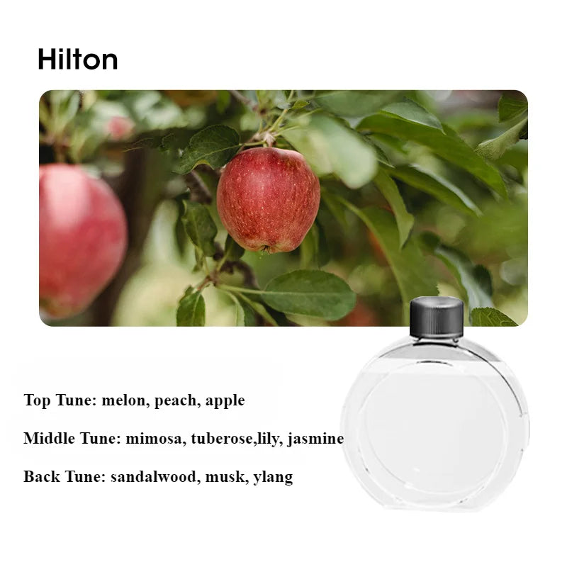 60㎡ Wall-Mounted Aromatherapy Diffuser – Air Purifier with Night Light