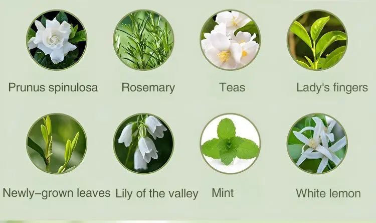 Automatic Car Aromatherapy Diffuser – Display & Jasmine Air Freshener