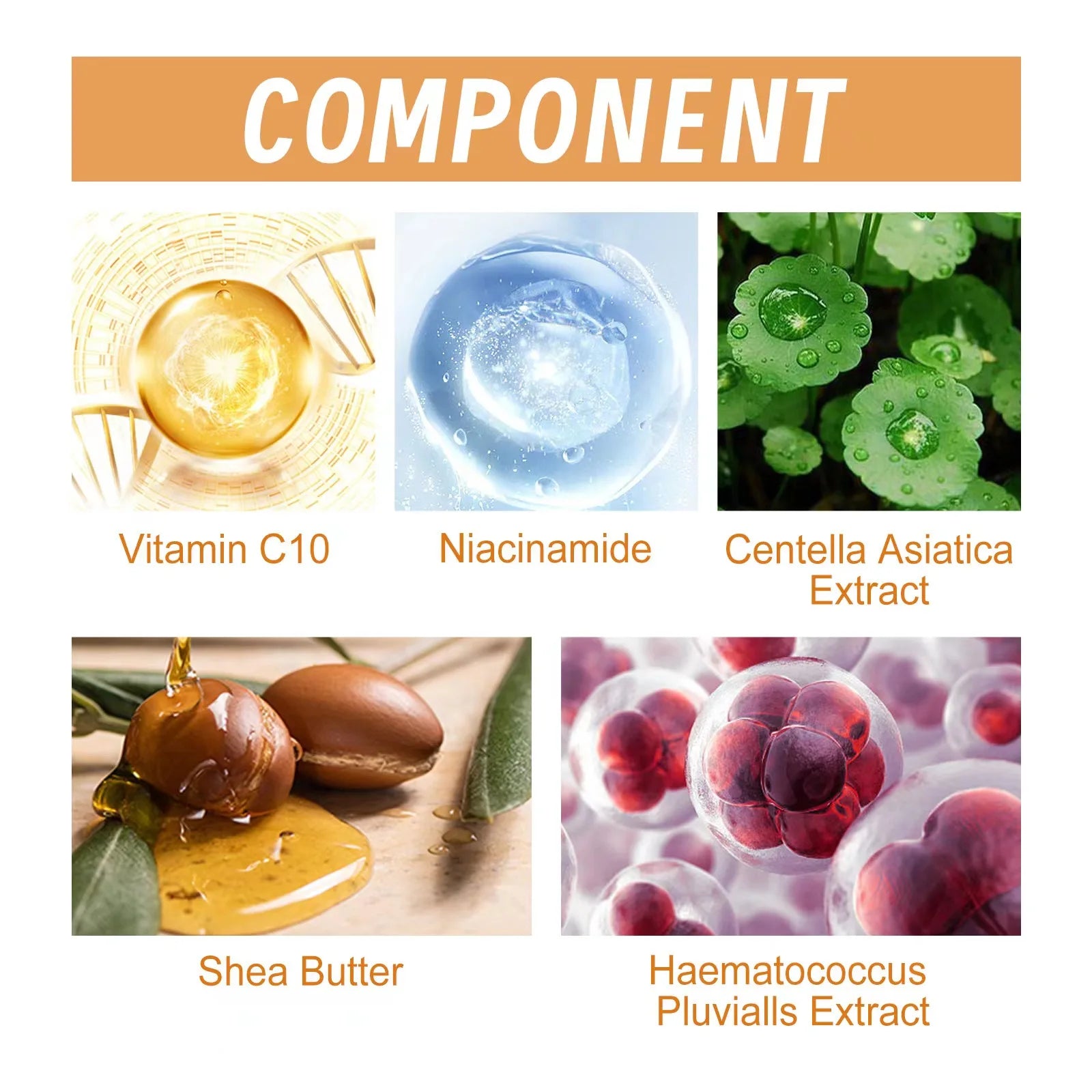 Vitamin C Face Serum – Anti-Aging, Firming & Brightening Essence