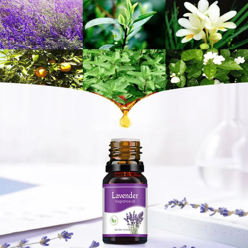 10ML Natural Plant Essential Oil – Air Freshener & Diffuser Refill