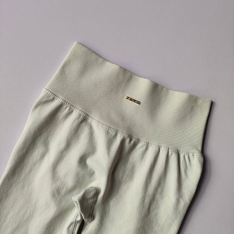 Seamless Women's V-Neck Bra & Leggings Fitness Yoga Set