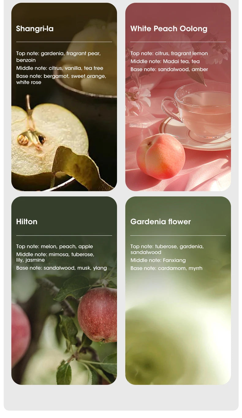 60㎡ Wall-Mounted Aromatherapy Diffuser – Air Purifier with Night Light