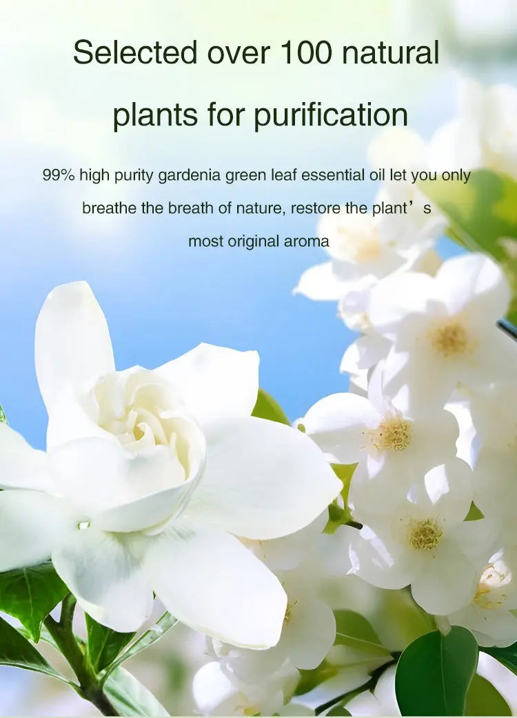 Automatic Car Aromatherapy Diffuser – Display & Jasmine Air Freshener