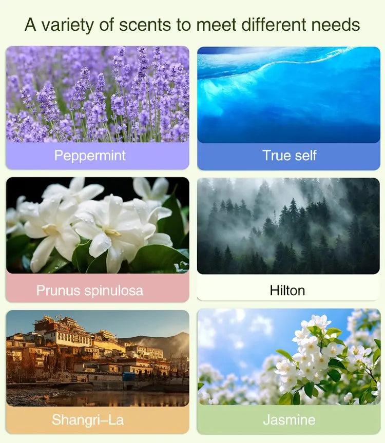 Automatic Car Aromatherapy Diffuser – Display & Jasmine Air Freshener